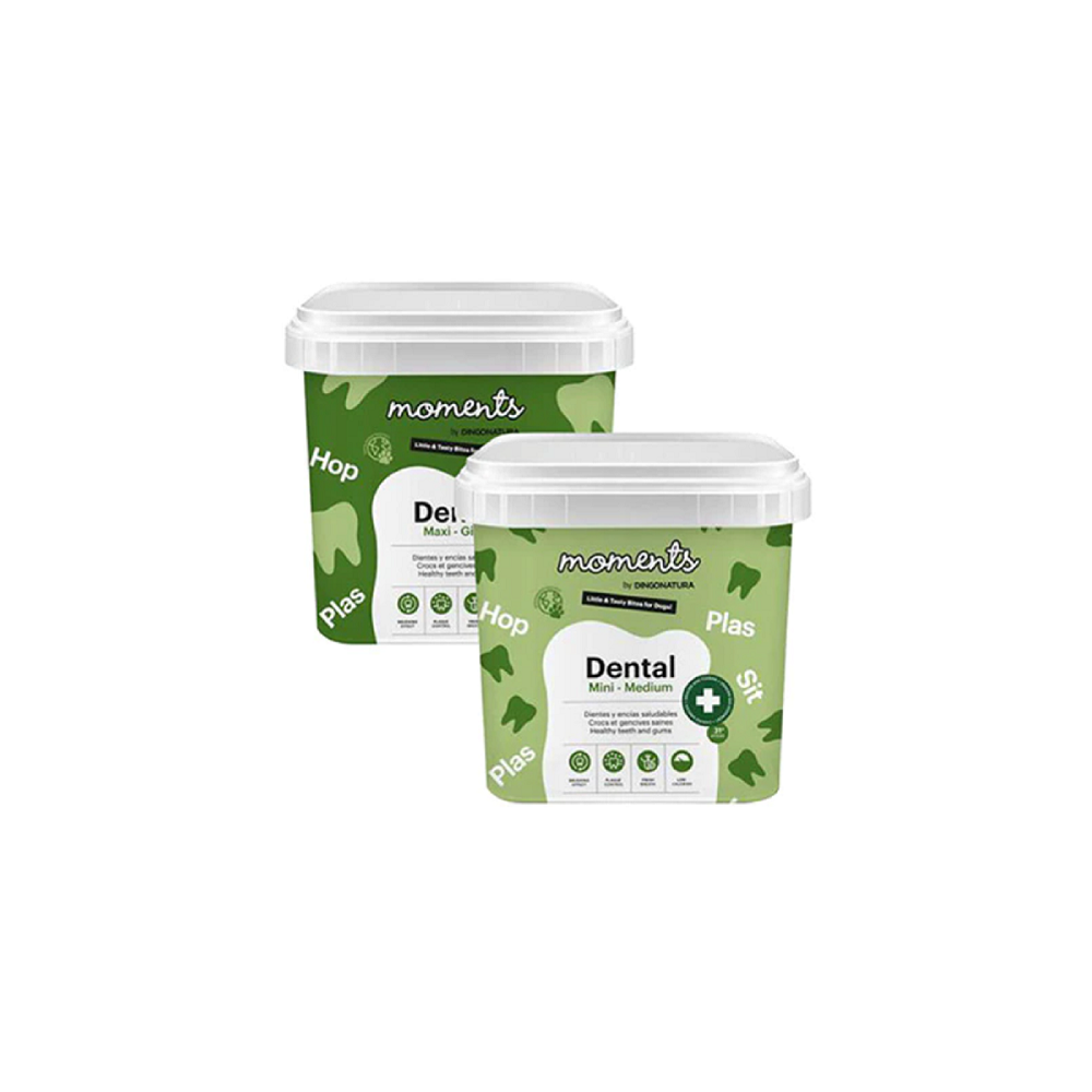 Moments Dental 500 Gr