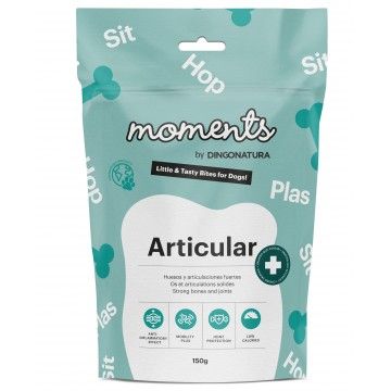 Momentos funcionais articulares do cão