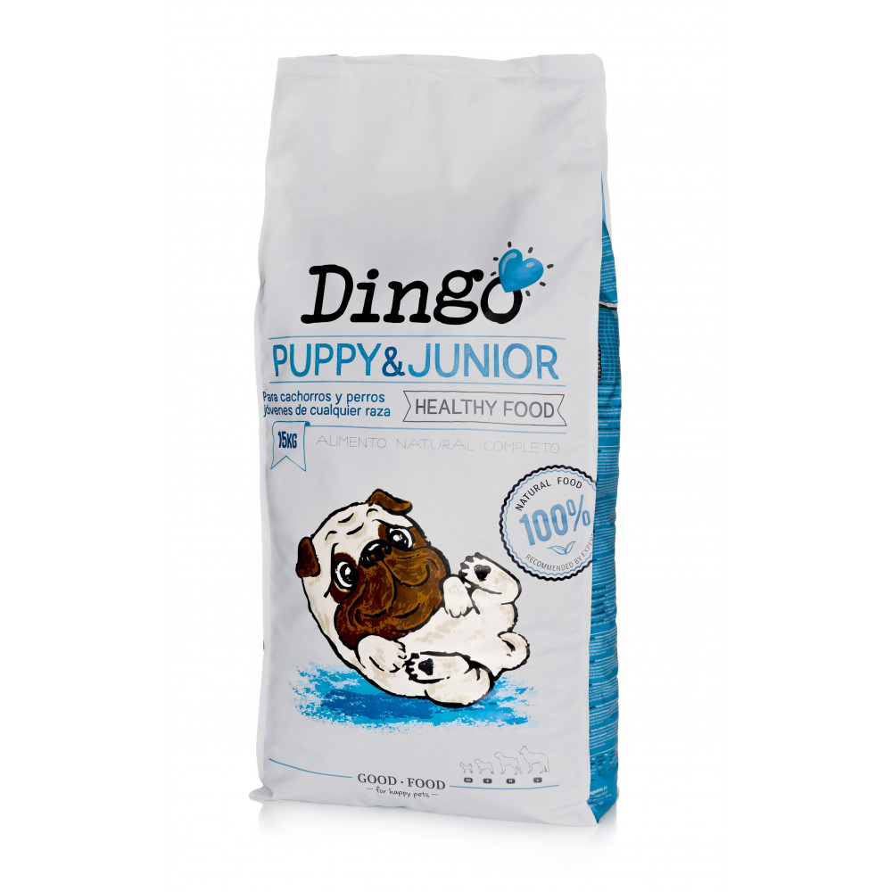 Dingo Puppy & Junior