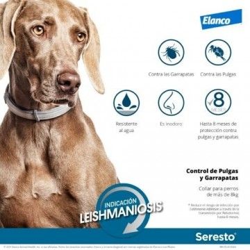 Seresto Coleira de cão + 8 Kg / 70cm