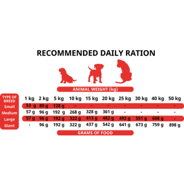 Alpha Spirit The Only One Puppies