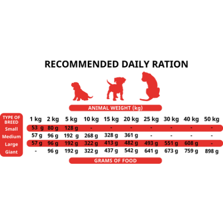 Alpha Spirit The Only One Puppies