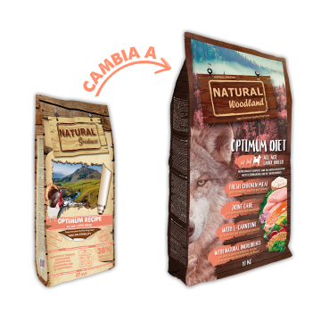 Natural Woodland Receta...