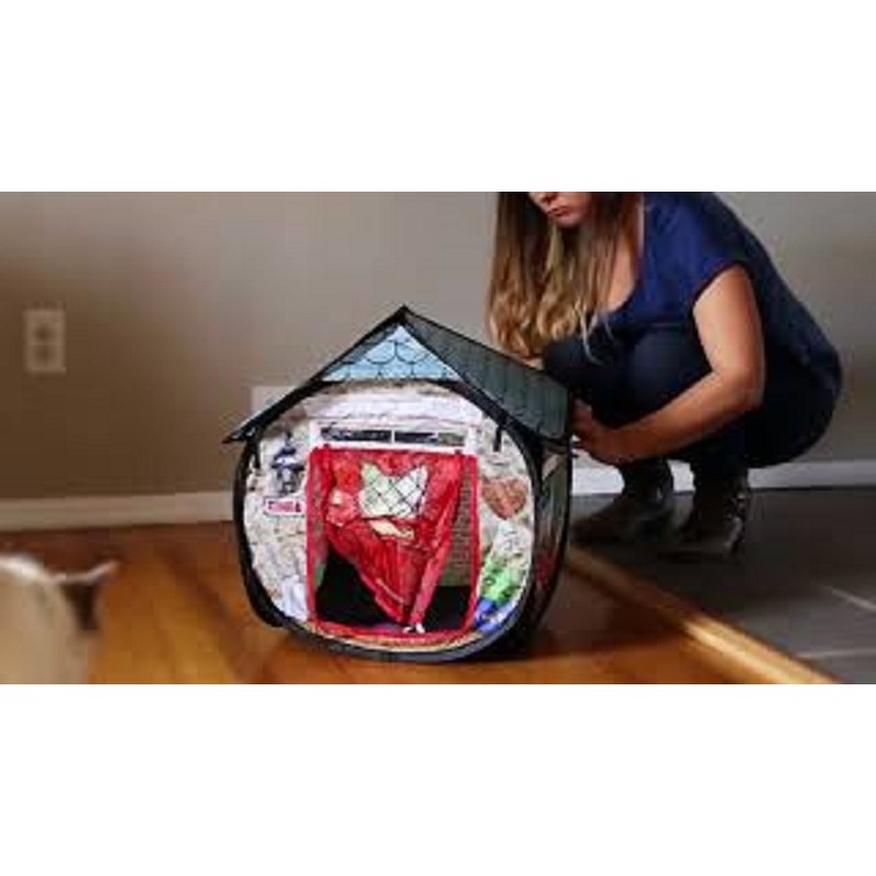 Kong clearance cat bungalow