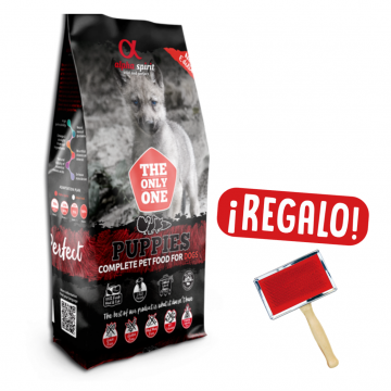 Alpha Spirit The Only One...