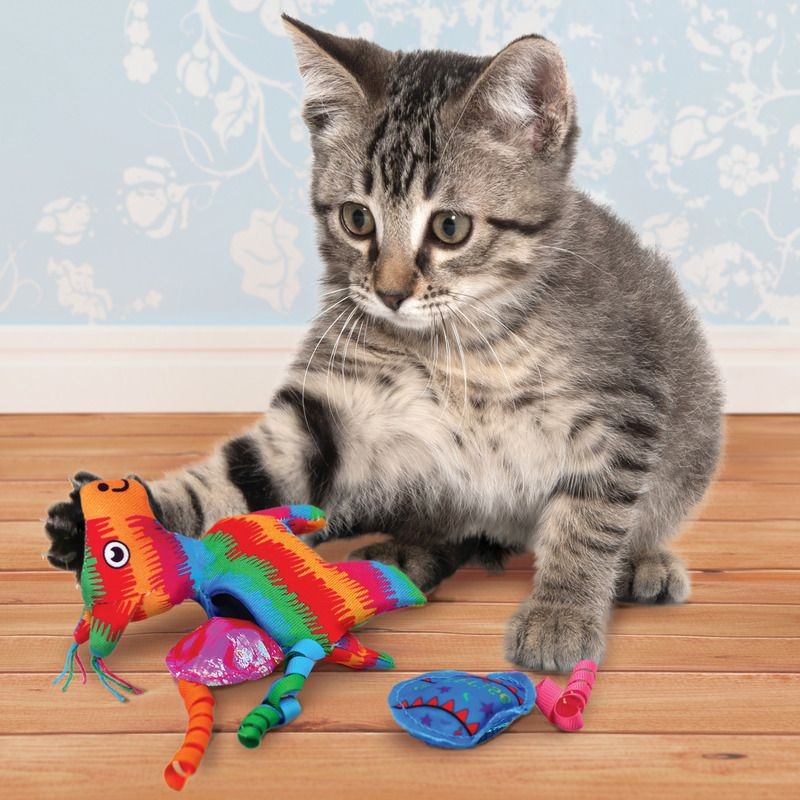 Cat Toy - Jogo para gatos – Apps no Google Play