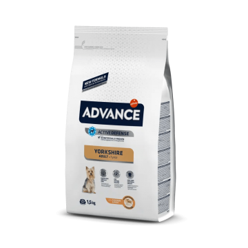 Advance Yorkshire Terrier