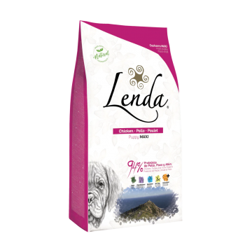 Lenda Original Puppy Maxi