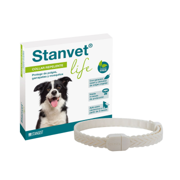 Stangest Collar...