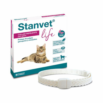 Stangest Collar Stanvet...