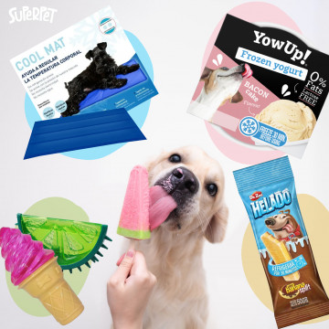 Pack de verano para perros