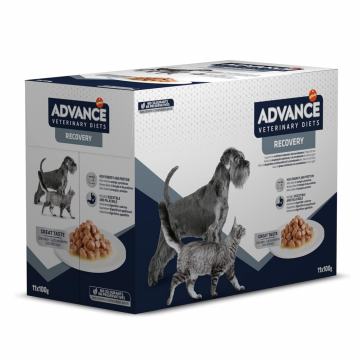 Advance Veterinary Dog and...