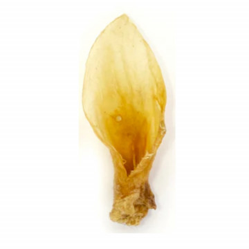 Lenda Nature Snack Oreja de...