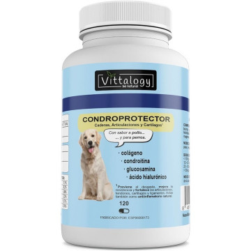 Vittalogy Condroprotector...