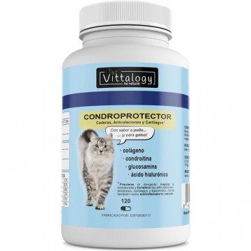 Vittalogy Condroprotector...