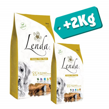 Lenda Original Adulto Frango