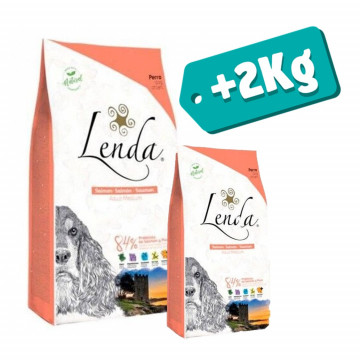 Lenda Original Adulto Salmão