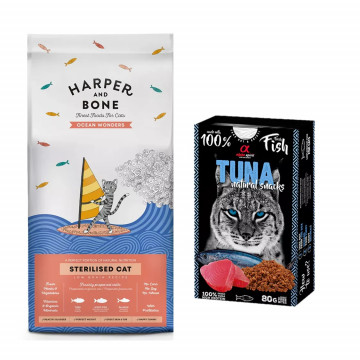 Harper and Bone Cat...