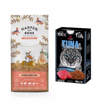 Harper and Bone Cat...