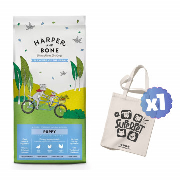 Harper and Bone Dog Puppy...