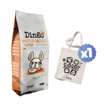 Dingo Mature & Daily