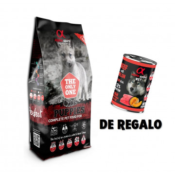 Alpha Spirit The Only One...