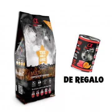 Alpha Spirit The Only One...