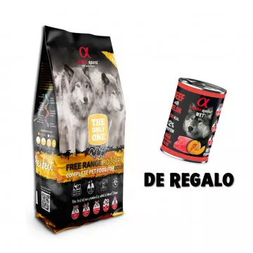 Alpha Spirit The Only One...