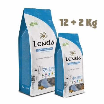 Lenda Original Adult Medium...