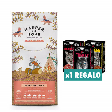 Harper and Bone Cat...