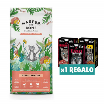 Harper and Bone Cat...