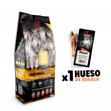 Alpha Spirit The Only One...