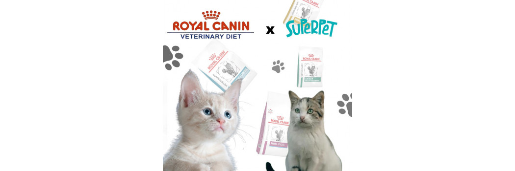 Ração Royal Canin gama Veterinária para gatos