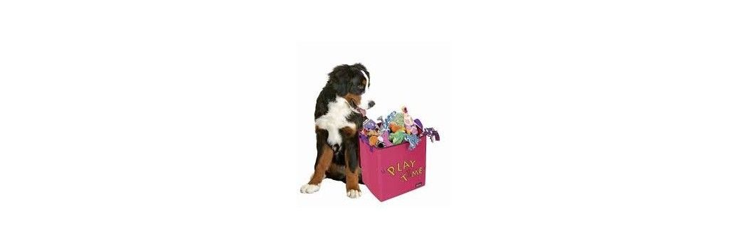 Brinquedos para cães: bolas, peluche e mordedores