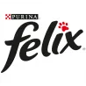 FELIX